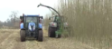 Oogst biobos Wesepe